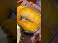 Durian / Penang / Malaysia / delicious 😋