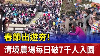 春節出遊夯！ 清境農場每日破7千人入園