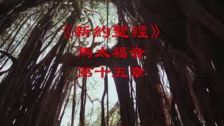 新舊約聖經系列 - 新約 - 馬太福音 - 第15章