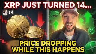 XRP Just Turned 14… Expanded Into a $200 Billion Market, But Price Is Dropping... WHY?