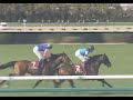 ダイワスカーレット 2008年 第52回産経大阪杯 gii 優勝馬：ダイワスカーレット