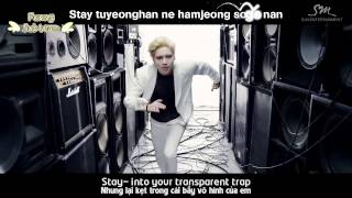 [Vietsub + Kara] Danger - Tae Min (Shinee)