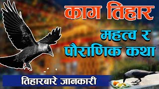 काग तिहार किन मनाइन्छ ||  Why do we Worship Crows|| Kaag Tihar Nepali Tihar Festival || Yama Panchak