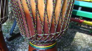 Djembe Triba, guinee .djembees 2011