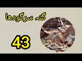 krahchi lahore scrap ghattah rhats abdhat لاہور کراچی سکریپ گتہ فیکٹری ریٹ لسٹ