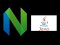 Configure Neovim for Java Development