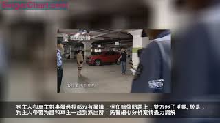 遛狗不牽繩狗狗被車軋死，雙方協商無果上法院