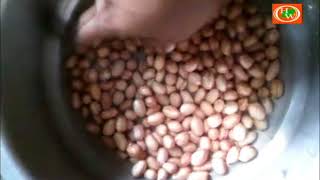 தினமும் வேர்கடலை சாப்பிட்டால் கிடைக்கும் நன்மைகள் | Groundnut | Peanut benefits in tami