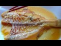 煮魚【かれいの煮つけ】きれいに食べちゃう！！ ⋈◍＞◡＜◍ 。✧♡ sony hdr cx675使用