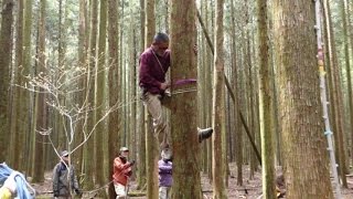 2015/04/12 ｢菜種梅雨の合間｣in朝霧 パラグライダー