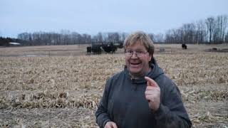 60 inch corn soil health vs full tillage. how can a full tillage farm try 60 inch corn.