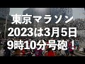 【世界記録で○○万円 】東京マラソン2023直前企画！東京マラソンの賞金は？抽選倍率は？経済効果は？はとバスはどうなるの？警視庁はプンプンなの？