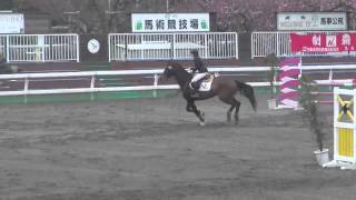 東都学生馬術大会 新人障害馬術競技 ギャレストロ 永末奈々