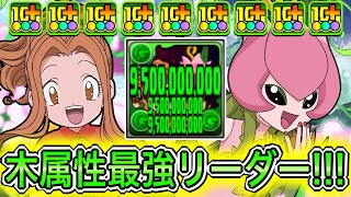 【最強】新凶兆ボス2パン！？ 新キャラの『太刀川ミミ&リリモン』が木属性の希望すぎてやばい！！！！ 【パズドラ デジモン コラボ 太刀川ミミ&パルモン】