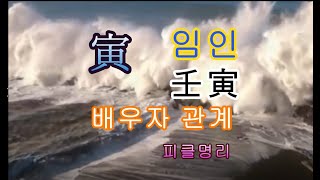 寅(인목) 배우자 관계 ★ 임인(壬寅) - 피클의 행복한 명리