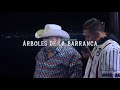 El Coyote y su Banda Tierra Santa ft Fuerza Regida - Arboles de la barranca