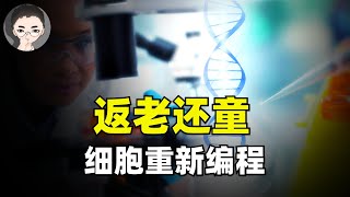 億萬富翁押註返老還童研究，衰老真的可以治愈嗎？人類什麽時候才能永生？| 回到Axton