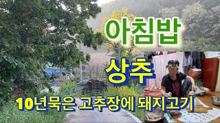 산골만두아줌마 상추쑥갓.10년묵은 고추장에 돼지고기쌈싸서 아침밥 먹어요.