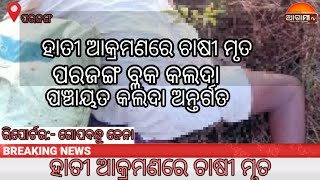 ହାତୀ ଆକ୍ରମଣରେ ଚାଷୀ ମୃତ #agamitv #latestnews