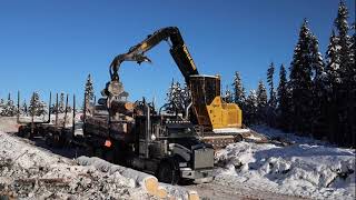 Tigercat 880D Log Loader - Loading Kenworth T800