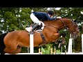 Royalty - Equestrian Music Video // Horse Music