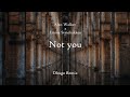 Not you - Alan Walker x Emma Steinbakken (Dhugo Edit)