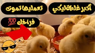 اسرار تربية الفراخ البيضاء...مش تلاقيها في مكان تاني🐓👈