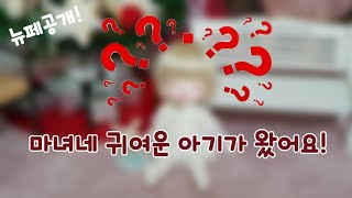 다락아이 릴리 기봉기 / 뉴페공개/ 인형카페 마카롱/ 슬리핑구관/ 모모/ 구체관절인형