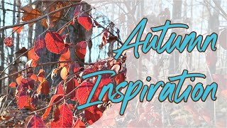 Autumn Inspiration - Mosaic Garden Art #mosaic #gardenart #autumn #inspiration #artinspiration