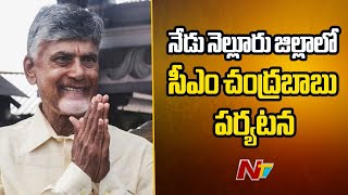 AP CM Chandrababu To Visit Nellore Today | Ntv