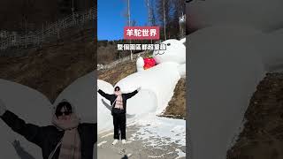 韓國冬季限定旅遊行程！雪白世界超好拍📷