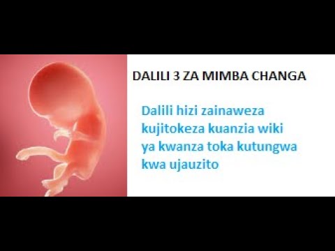 Dalili 3 Za Mimba Changa Youtube Dalili 3 Za Mimba Changa Youtube