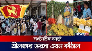 কাঁঠাল খেয়ে জীবন বাঁচাচ্ছে শ্রীলঙ্কার মানুষেরা | Sri Lanka | Economic Crisis | Jackfruit | News24