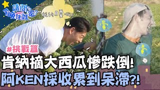 肯納摘大西瓜慘跌倒？阿KEN彎腰採收累到呆滯？！【請問今晚住誰家】挑戰篇 20200615 EP177 Part2 阿Ken 李李仁 肯納