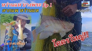 หว่านแหบางพระ หมานปลากด ปลานิลโบ้ #ผู้ติดตาม #หว่านแหจับปลา #netfishing #เซียนแห  #อ่างบางพระ #ปลากด