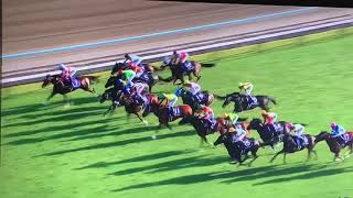 2019年【秋華賞】競馬、レース、結果