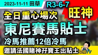 【中佬重心賽馬貼士】（11月11日田草）R3-6-7｜旺神駕到-東尼賽馬貼士｜冷馬推薦12倍冷馬｜邀請法國賭神孖寶王出貼士#賽馬賠率 #賽馬直播 #賽馬貼士#冷馬#高風險#高回報#樂聲盃#潘頓#告東尼