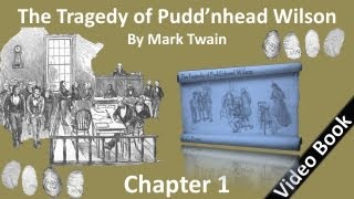 The Tragedy of Pudd'nhead Wilson by Mark Twain- Chapter 01 - Pudd'nhead Wins His Name