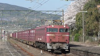 【JR貨物】４０９３レ ＥＦ８１-４０６