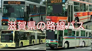 【前編近江鉄道バス・帝産湖南交通・湖国バス】関西未踏の地滋賀県の路線バス事情も個性的すぎてやばかった