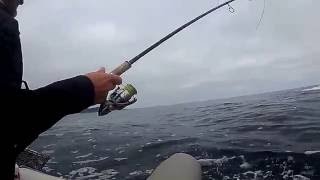 Pesca robalo desde embarcación en la costa da morte.