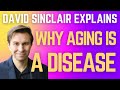 Is Aging a Disease? David Sinclair explains it best