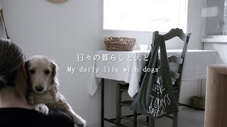 SUB/ 色々な事がありました/My daily life with dogs