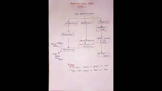 CONSTITUTION OF INDIA #FLOWCHART #ssc #upsc #rajyasabha #loksabha #jkssb #jkpsi #jkssbvlw #india