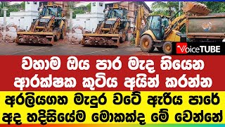 අරලියගහ මැදුර වටේ ඇරිය පාරේ අද හදිසියේම මොකක්ද මේ වෙන්නේ