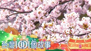 日本雪國新潟縣 櫻花盛開粉浪漫 part5-新潟1001個故事