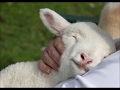 Psalm 23 - Ted Pearce