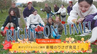 【対決】RINGOMUSUMEの「RIGHT-ON TIME!」ー  新オリジナルりんご競技 新種のうさぎ発見！ ー