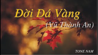 ĐỜI ĐÁ VÀNG  - KARAOKE - TONE NAM - Tuấn Ngọc - ( Tg: Vũ Thành An )