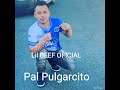 LIl BEEF OFICIAL 😎🎧🙏EL PURGARCITO